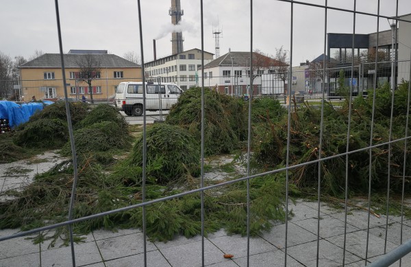Į dangų stiebiasi pagrindinė miesto puošmena