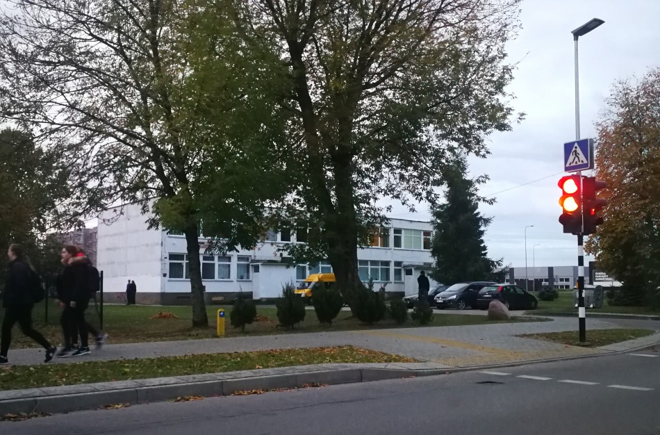 Šiandien ryte vairuotoja pervažiavo merginai koją ir pasišalino