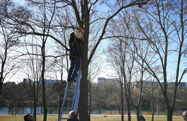 Dešimt varnėnų šeimų džiaugsis naujais namais