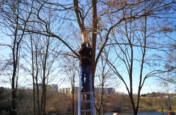 Dešimt varnėnų šeimų džiaugsis naujais namais