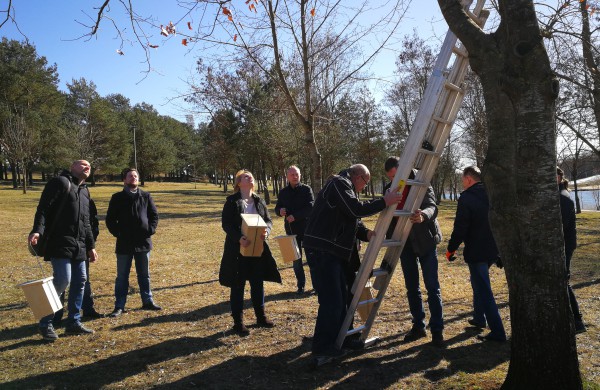 Dešimt varnėnų šeimų džiaugsis naujais namais