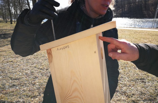 Dešimt varnėnų šeimų džiaugsis naujais namais