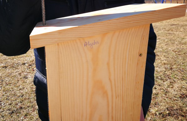 Dešimt varnėnų šeimų džiaugsis naujais namais