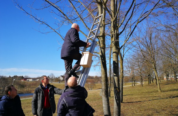 Dešimt varnėnų šeimų džiaugsis naujais namais