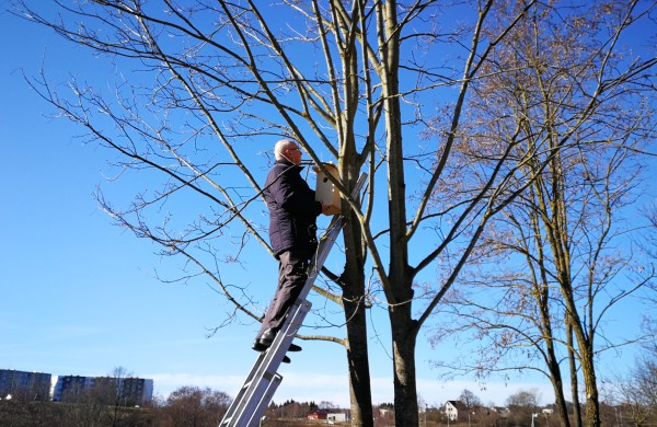Dešimt varnėnų šeimų džiaugsis naujais namais