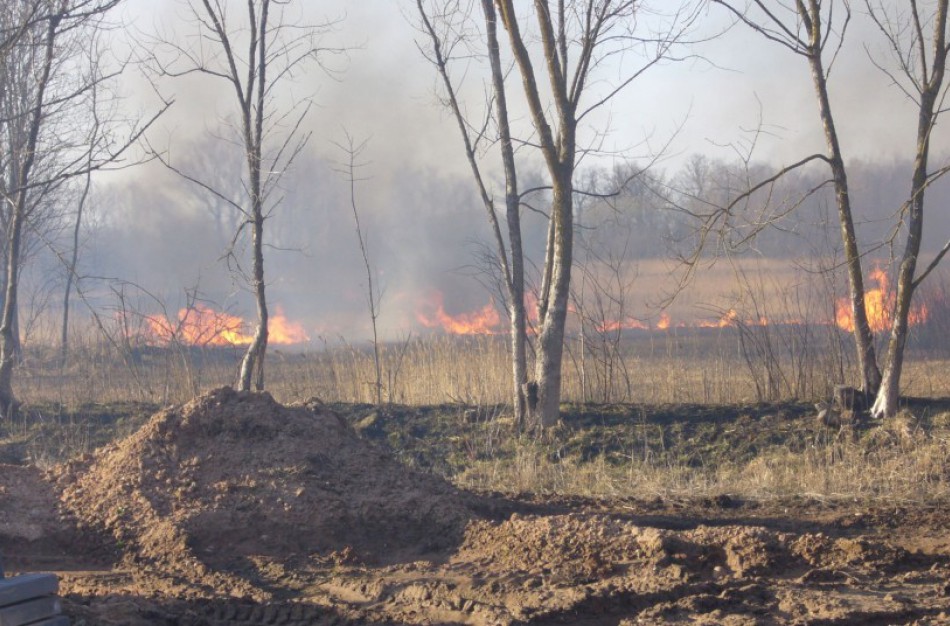 Aplinkosaugininkai primena: sudegusi žolė – nėra pievų trąša, už tai gresia baudos