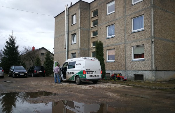 Tikrinama, ar nesikartoja smurto atvejai šeimose