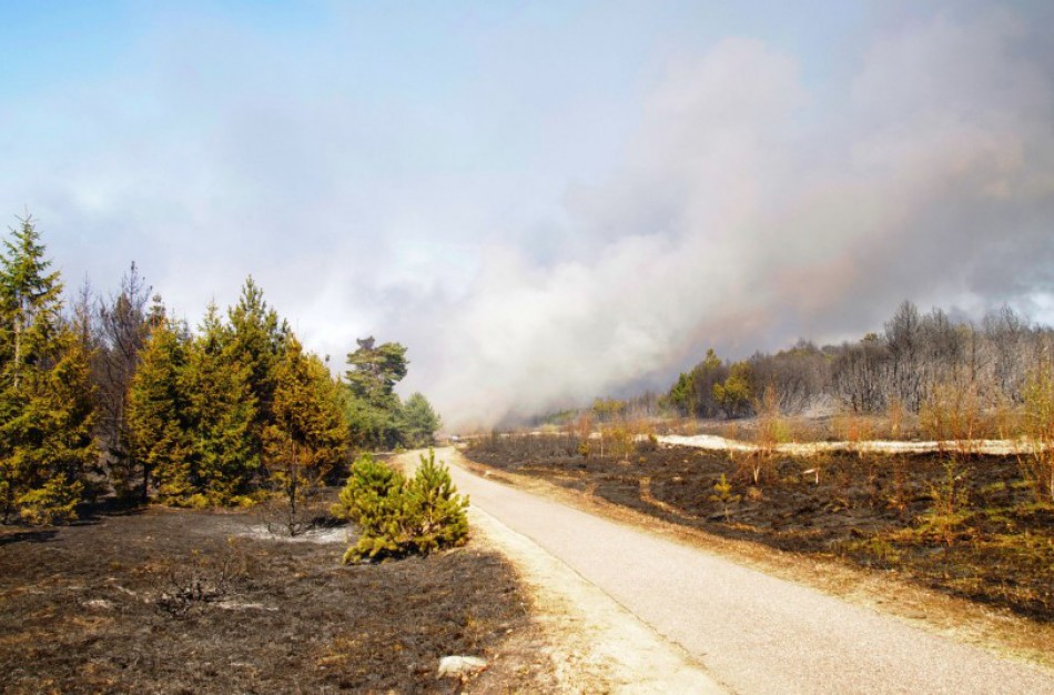  Šiemet jau išdegė daugiau hektarų žemės nei pernai