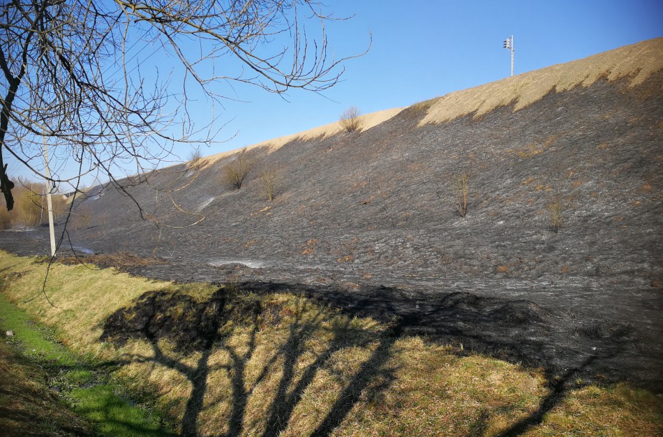 Geležinkelio kalno papėdėje išdegė apie 5 ha žemės