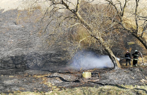 Geležinkelio kalno papėdėje išdegė apie 5 ha žemės