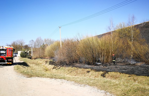 Geležinkelio kalno papėdėje išdegė apie 5 ha žemės