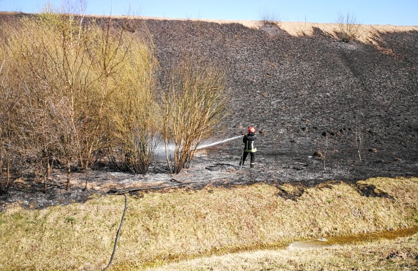 Geležinkelio kalno papėdėje išdegė apie 5 ha žemės