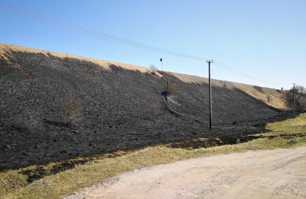 Geležinkelio kalno papėdėje išdegė apie 5 ha žemės