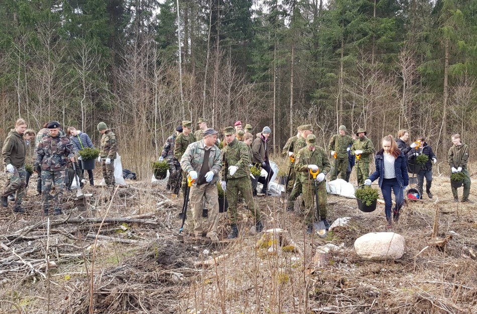 Jonavoje vyks „Nacionalinis miškasodis 2019“