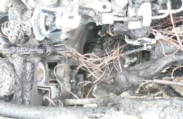 Vakar degė ne tik sausa žolė