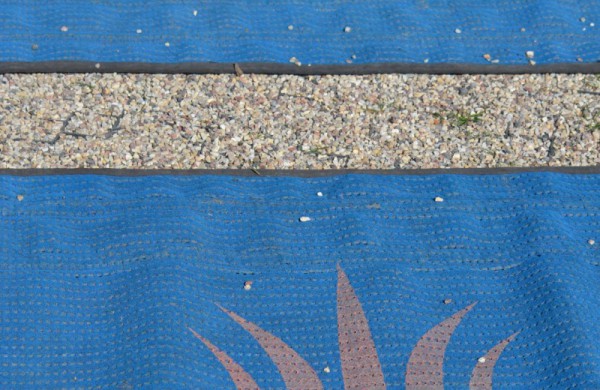 Septintajame „Varnutės“ bėgime ir Jonavos atletų pergalės