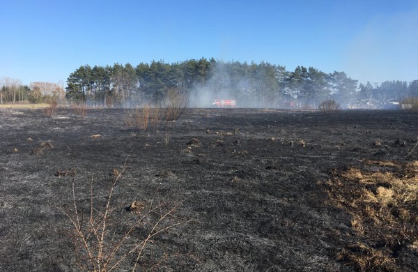 Sausos žolės gaisras vos nepersimetė į Šmatų kapines