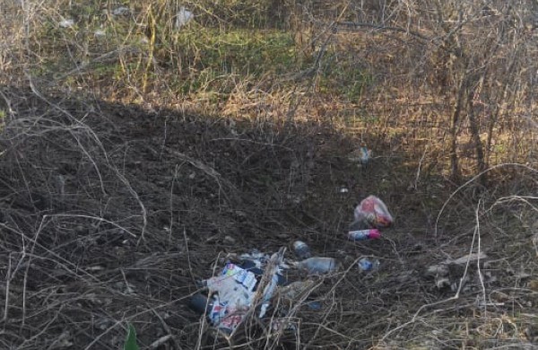 Jonavietis: ,,Ar Neries krantas ,,Draugystės“ soduose rūpi tik patiems gyventojams?“