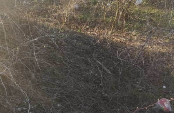 Jonavietis: ,,Ar Neries krantas ,,Draugystės“ soduose rūpi tik patiems gyventojams?“