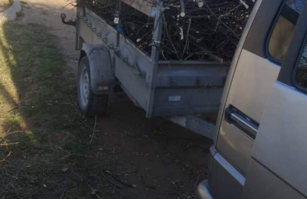 Jonavietis: ,,Nugenėtų šakų niekas nepriima, bet už jų deginimą miesto teritorijoje – bauda?“