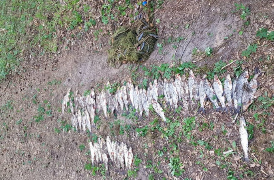 Statomu tinklu Širvintos upėje nusprendę žvejoti asmenys apie savo ketinimus papasakojo aplinkos apsaugos inspektorei