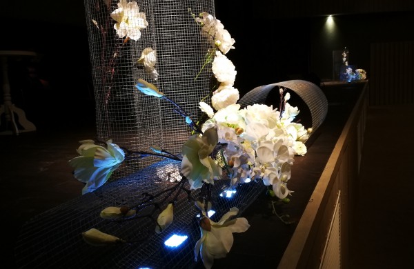 Jonavos medikams – garbingi apdovanojimai