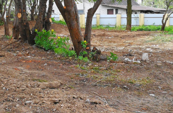 Gyventojas: Nelegalų sąvartyną nuspręsta užpilti žemėmis?