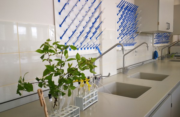 Senamiesčio gimnazijoje atidaryta gamtos mokslų laboratorija