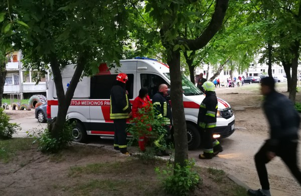 Cepelinų pavalgyti nepavyko – „sutrukdė“ atvykusios tarnybos