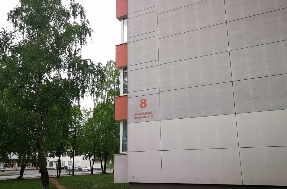 Įkaušusių rukliečių kompanijos apsuptyje – du mažamečiai vaikai