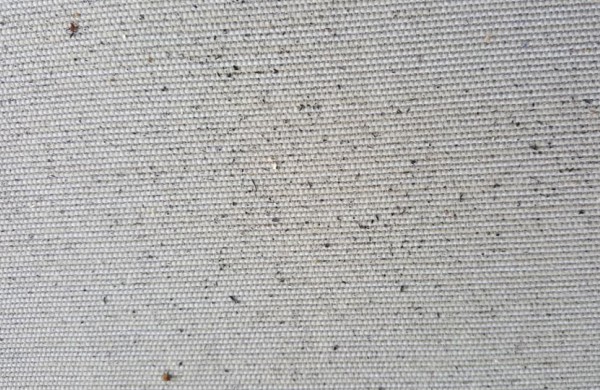 Gyventojai skundžiasi naktimis ore pasklindančiais degėsiais – kaltų nėra?