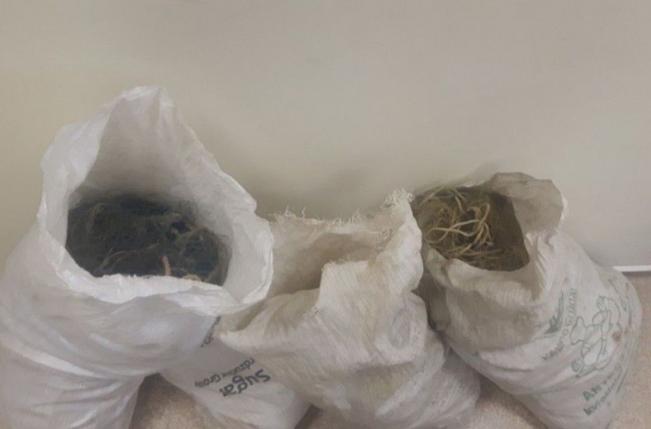 Per aplinkosaugininkų vykdytą reidą sulaikyti tinklus ketinę statyti pažeidėjai