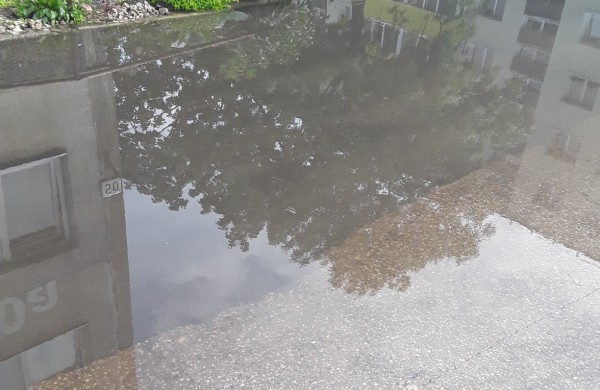 Sodų 50a namo gyventoja: jei greitu metu nebus išspręsta problema - gyventojai kvies televiziją