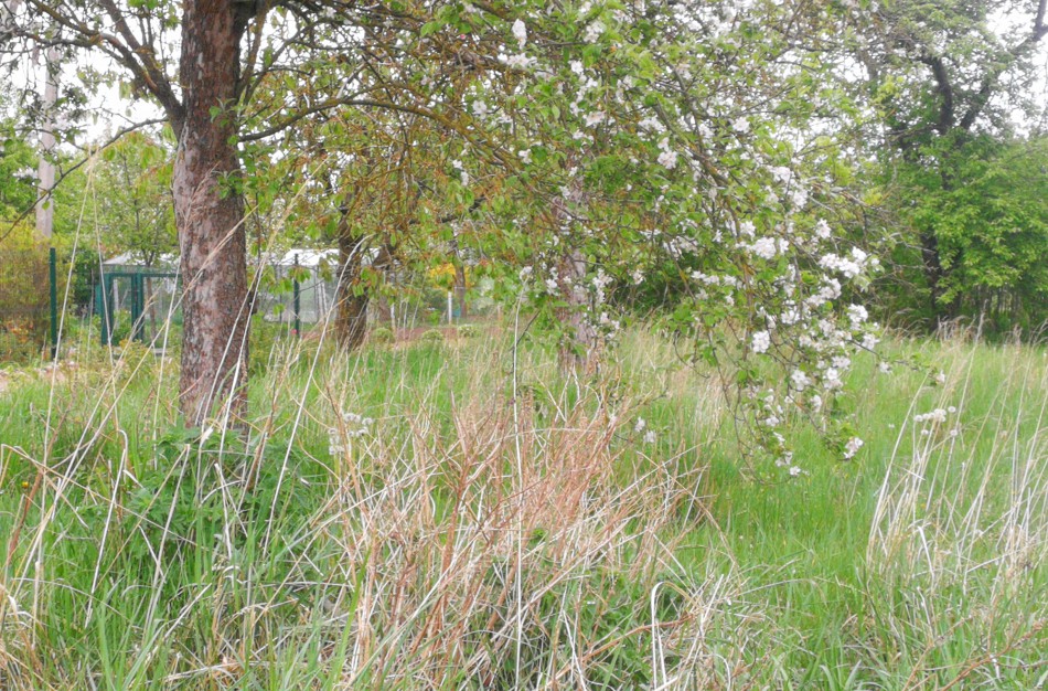Kvietimas teikti prašymus finansinei paramai gauti pagal Jonavos rajono savivaldybės specialiąją sodininkų bendrijų rėmimo programą