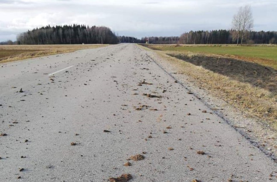 Kelio užteršimas – pažeidimas, galintis kainuoti kelis šimtus eurų