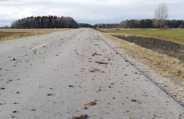 Kelio užteršimas – pažeidimas, galintis kainuoti kelis šimtus eurų