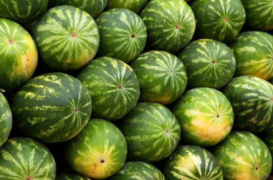 Įsibėgėja arbūzų sezonas – įvertinta, ar saugu mėgautis šiomis uogomis