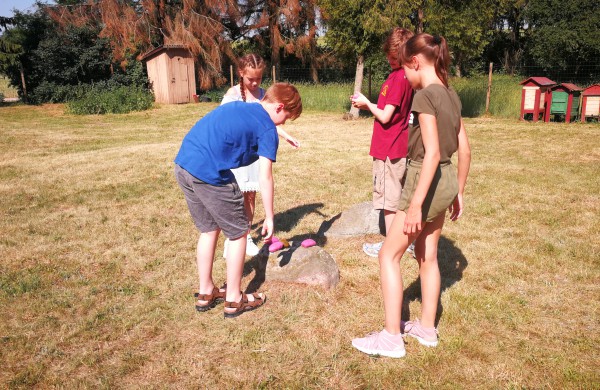 Samulevičių memorialinėje sodyboje startavo edukacinė stovykla mokiniams "Amatų pynė"
