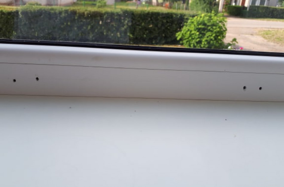 Langų apsauginė plėvelė slėpė paslaptį? Užminta mįslė ir senjorei, ir pardavėjams