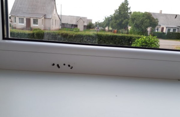 Langų apsauginė plėvelė slėpė paslaptį? Užminta mįslė ir senjorei, ir pardavėjams