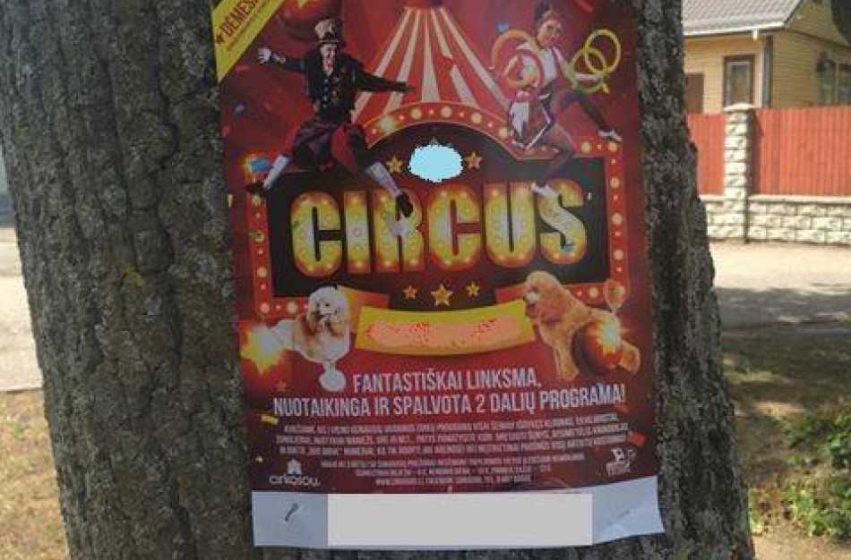 Jonavietis: ,,Negana to, kad cirkas kankina gyvūnus, tai dar ir pažeidžia reklamos taisykles“ 