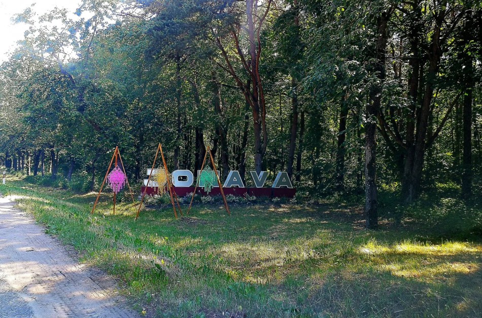 Iš plastikinių šiaudelių pagaminti Joninių papuošimai nepraslydo pro gamtos mylėtojų akis