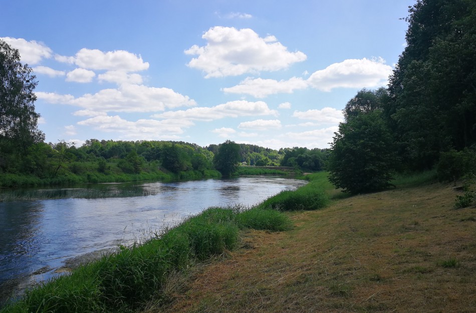 Vandens kokybė Jonavos rajono maudymosi vietose atitinka higienos reikalavimus