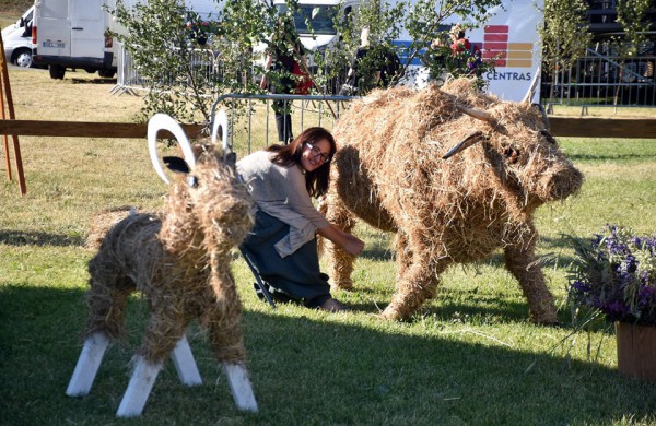Jonavoje paminėtos Joninės - kviečiame pasidairyti po šventės nuotraukų albumą