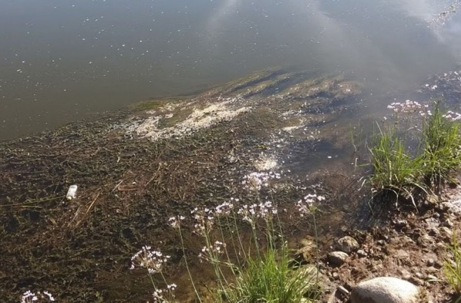 Hidrologinė sausra neaplenkė ir Jonavos