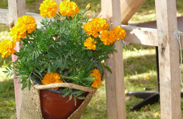 Prie bažnyčios – rudens šventė „Štetl Jonava“