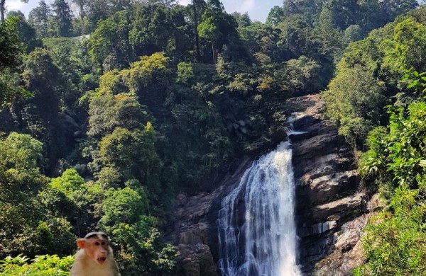 Kviečia į pokalbį „Įspūdžiai iš Indijos“