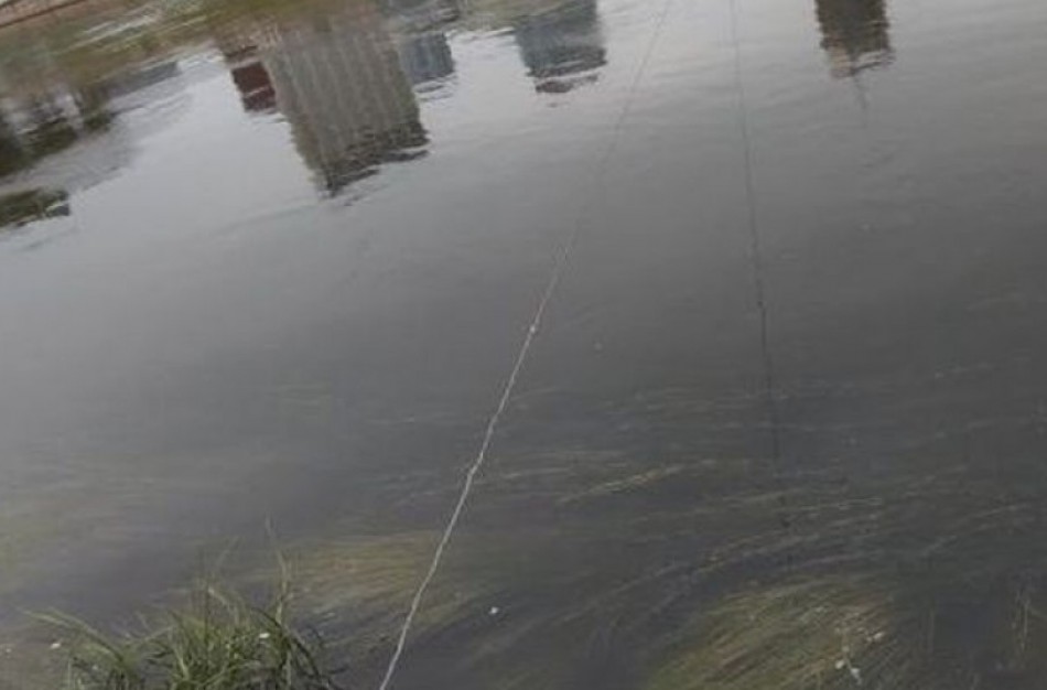 Dėl nusekusios Neries Lietuva kreipėsi į Baltarusiją