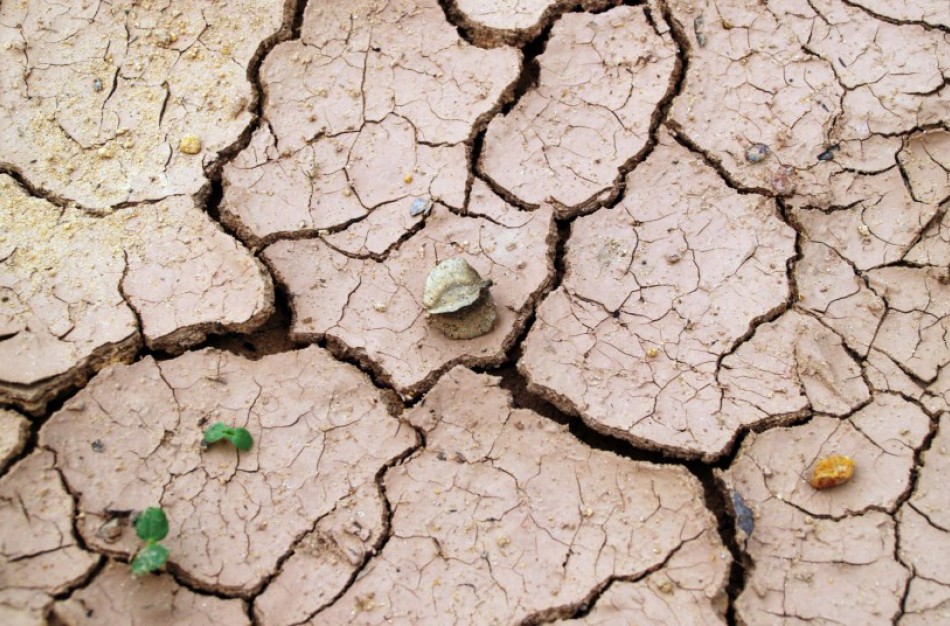 Paskelbta valstybės lygio ekstremalioji padėtis dėl sausros