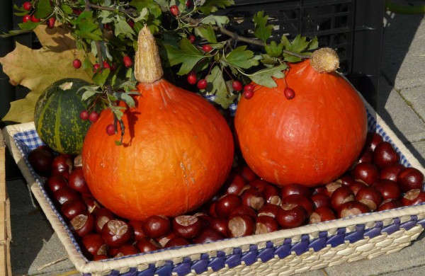 Prie bažnyčios – rudens šventė „Štetl Jonava“